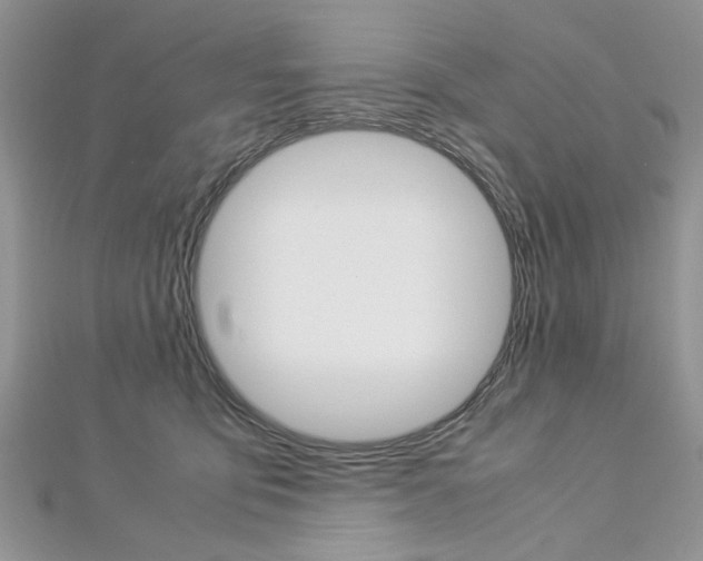 X0000113070419200908281014