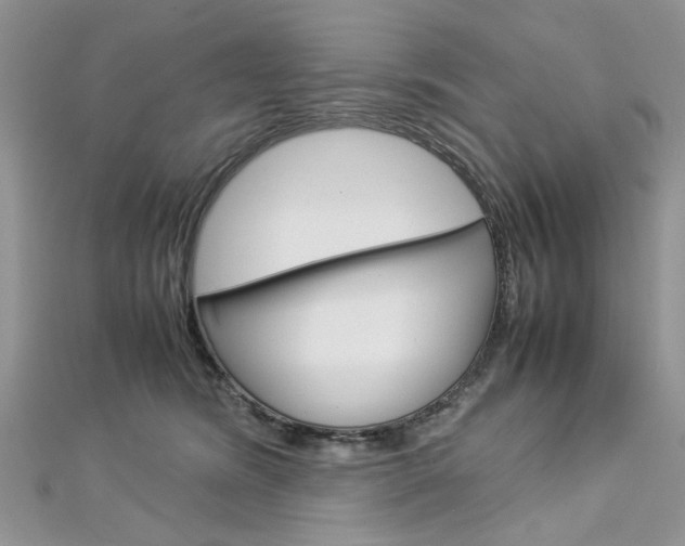 X0000113070420200908281014