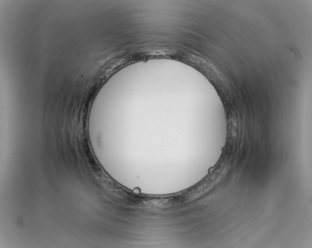 X0000113070422200908281014