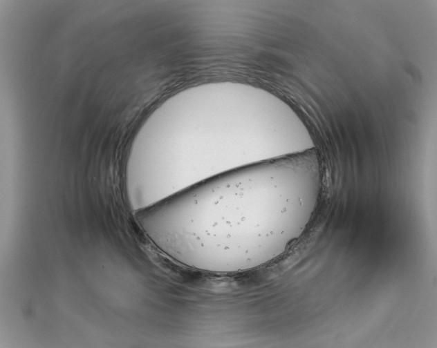 X0000113070424200908281014