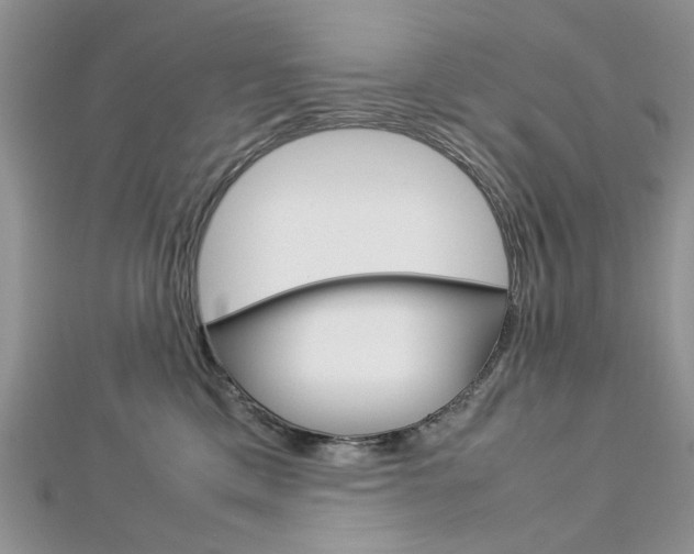 X0000113070425200908281014
