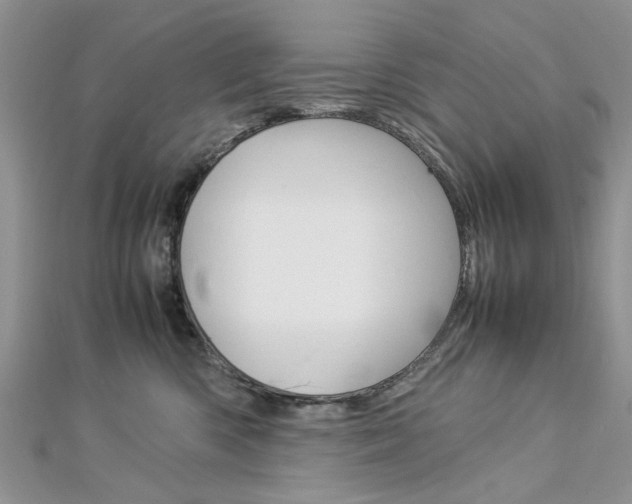 X0000113070426200908281014