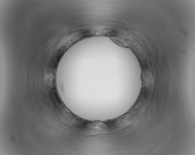 X0000113070427200908281014
