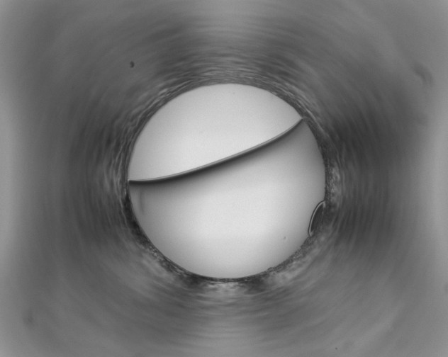 X0000113070428200908281014