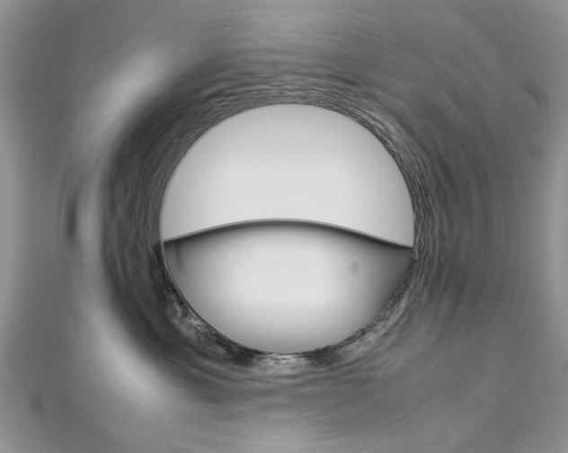X0000113070429200908281014