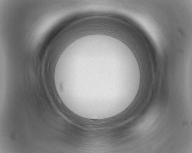 X0000113070431200908281014