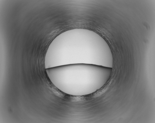 X0000113070432200908281014