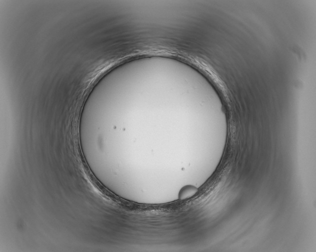 X0000113070433200908281014