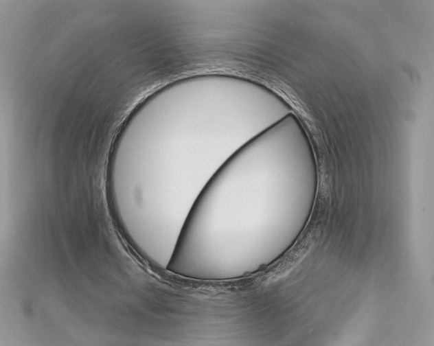 X0000113070434200908281014