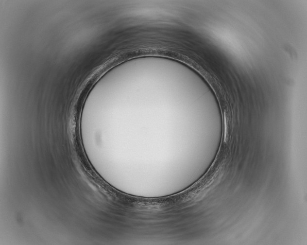 X0000113070435200908281014