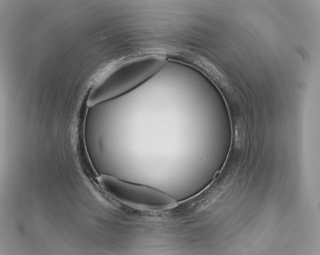 X0000113070436200908281014