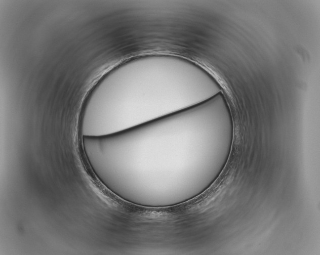 X0000113070437200908281014