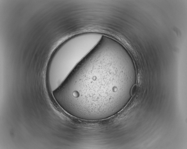 X0000113070438200908281014