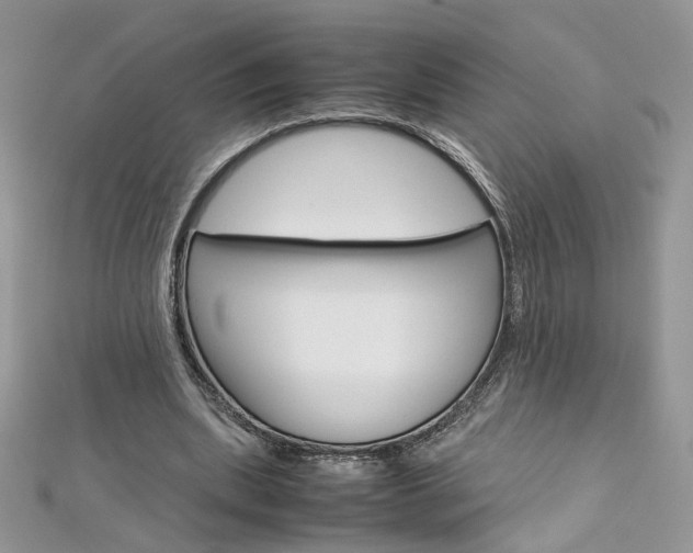 X0000113070439200908281014