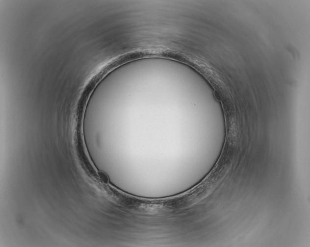 X0000113070440200908281014