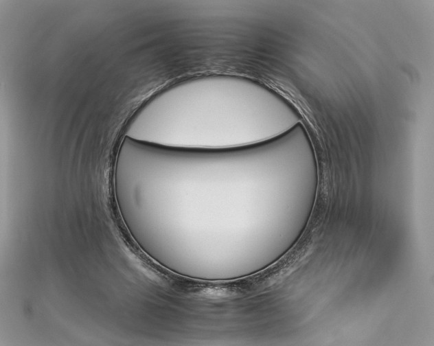X0000113070441200908281014