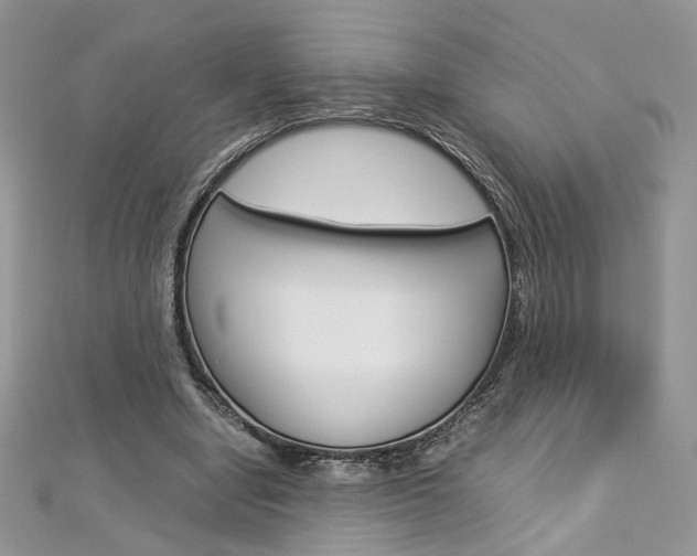 X0000113070442200908281014