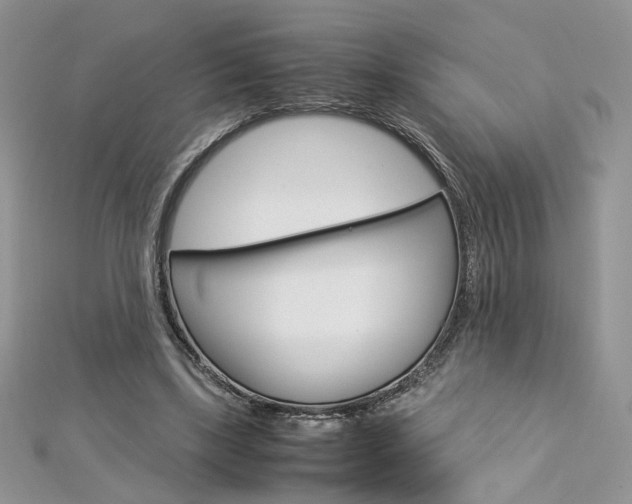 X0000113070443200908281014