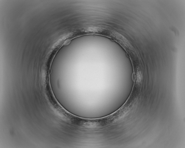 X0000113070444200908281014