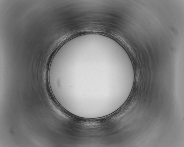 X0000113070445200908281014