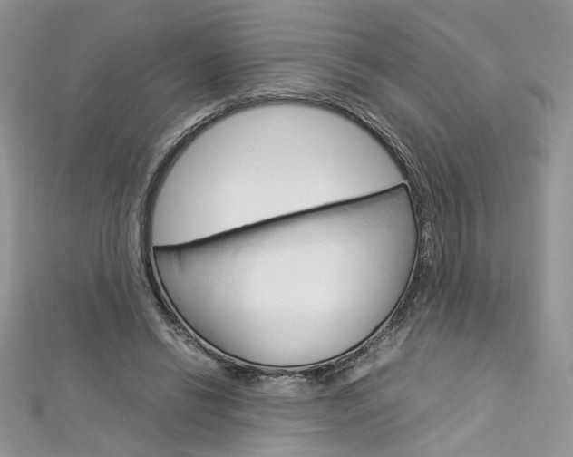 X0000113070446200908281014