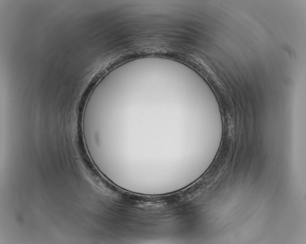 X0000113070447200908281014