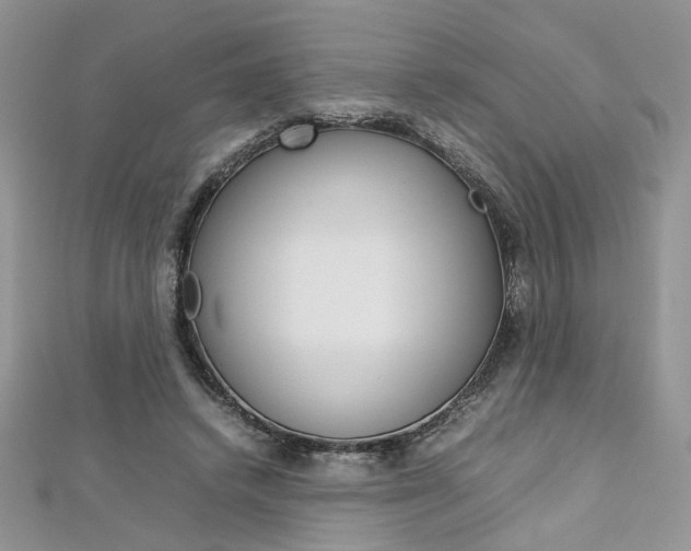X0000113070448200908281014
