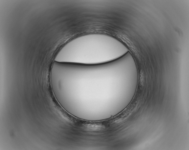 X0000113070449200908281014