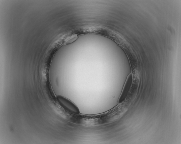X0000113070452200908281014