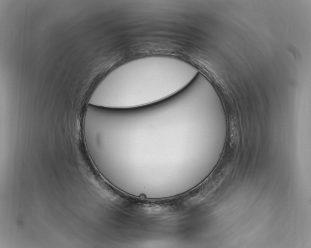 X0000113070453200908281014