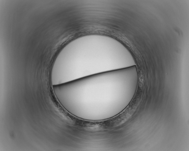 X0000113070454200908281014