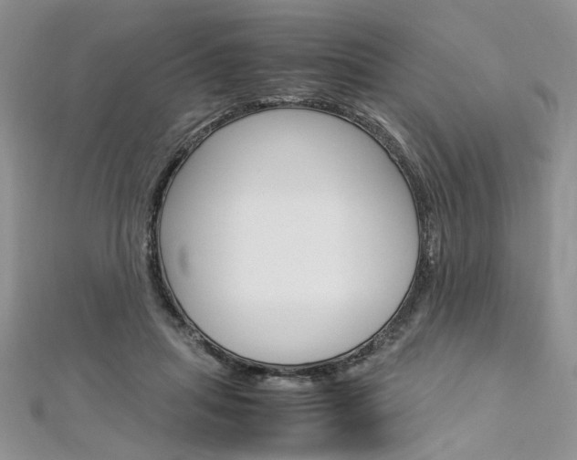 X0000113070455200908281014