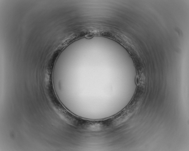 X0000113070456200908281014