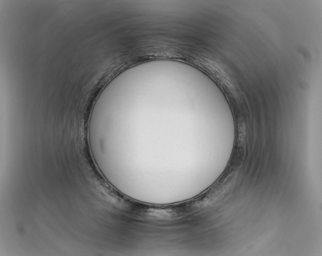 X0000113070457200908281014