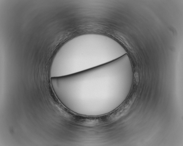 X0000113070458200908281014