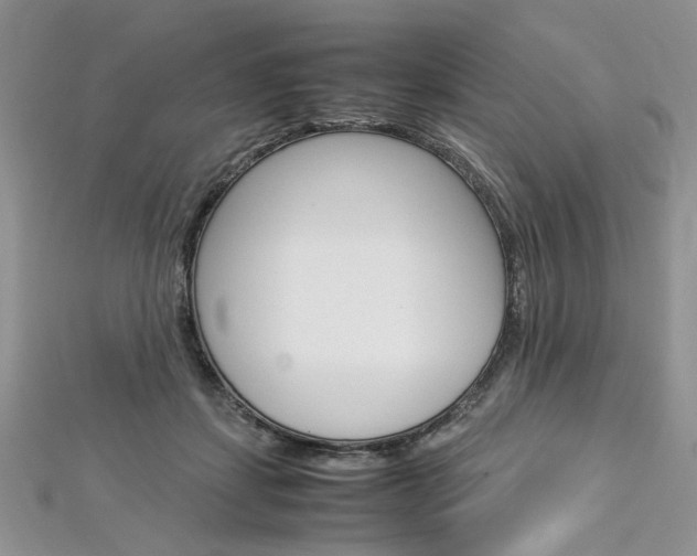 X0000113070459200908281014