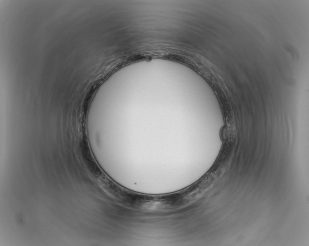 X0000113070460200908281014