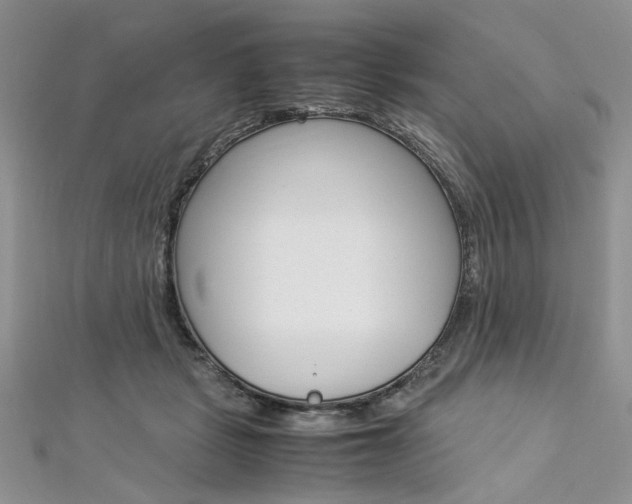 X0000113070461200908281014