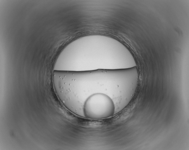 X0000113070462200908281014