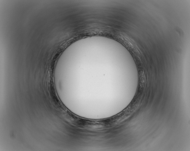 X0000113070463200908281014