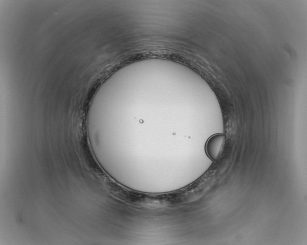 X0000113070464200908281014
