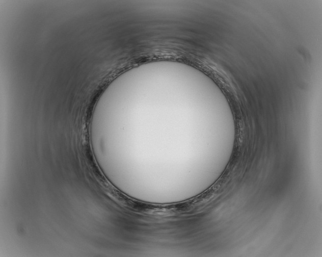 X0000113070465200908281014