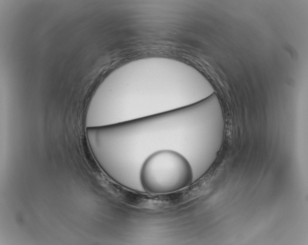 X0000113070466200908281014