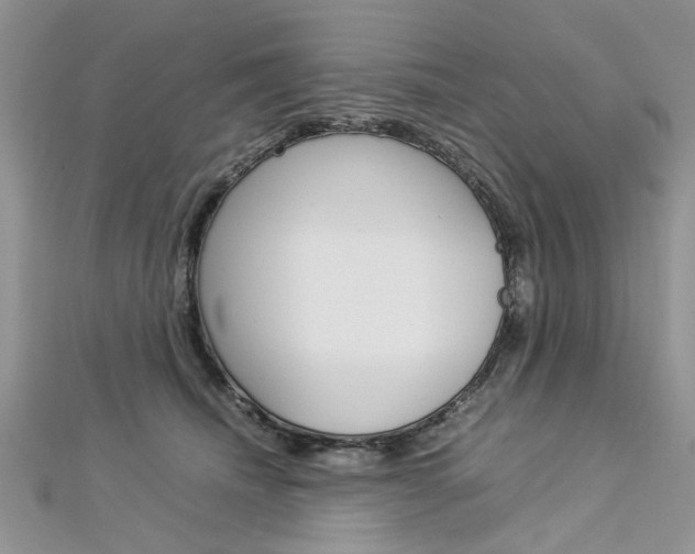 X0000113070468200908281014