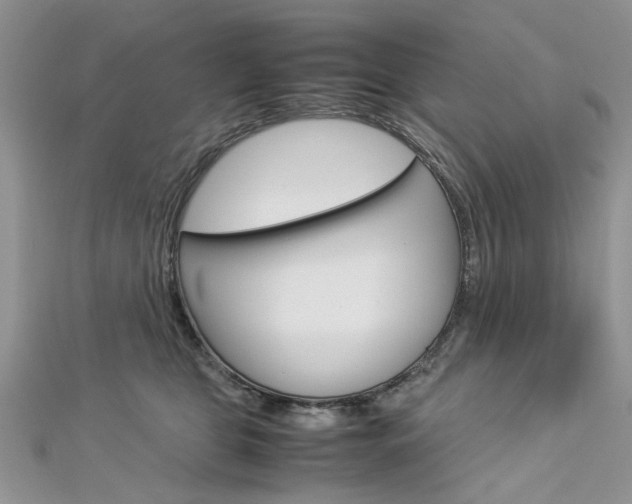 X0000113070469200908281014