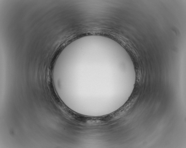 X0000113070470200908281014