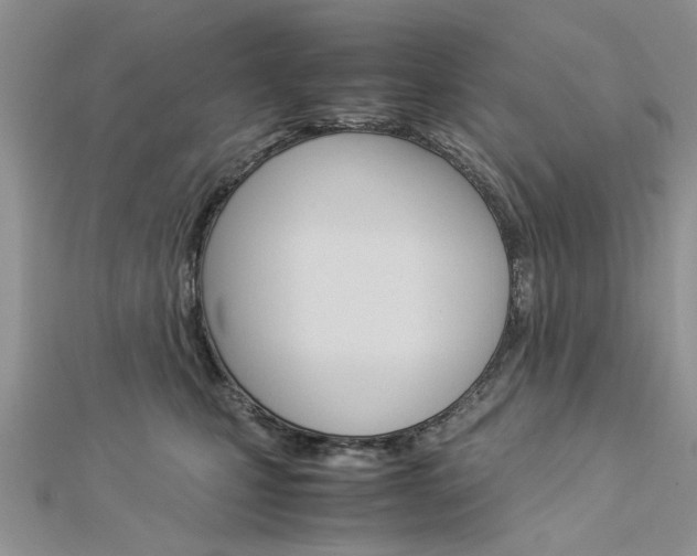 X0000113070471200908281014