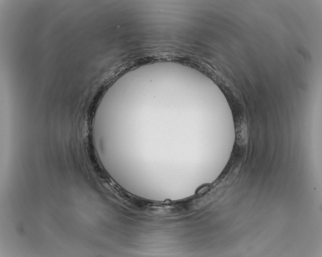 X0000113070472200908281014