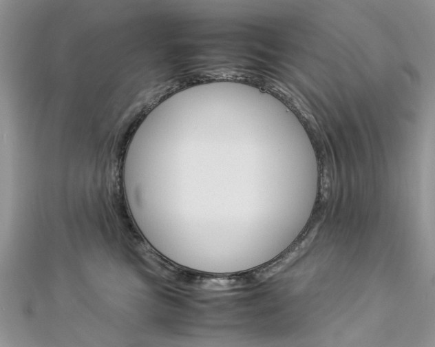 X0000113070473200908281014