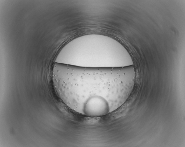 X0000113070474200908281014